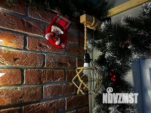 Дом 25м², 1-этажный, посуточно,