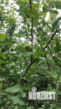 Дом 411м², 2-этажный, на длительный срок,