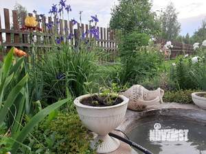 Дом 200м², 2-этажный, посуточно,