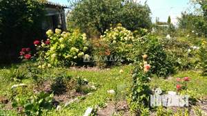 Дом 10м², 1-этажный, участок 8 сот.