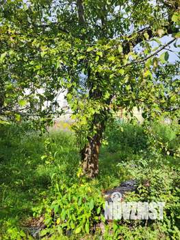 Дом 29м², 1-этажный, участок 5 сот.