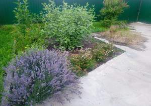 Дом 40м², 2-этажный, участок 6 сот.