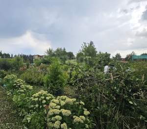 Дом 35м², 2-этажный, участок 12 сот.