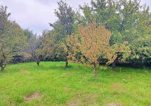 Дом 24м², 2-этажный, участок 8 сот.