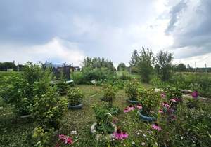 Дом 35м², 2-этажный, участок 12 сот.