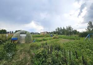 Дом 35м², 2-этажный, участок 12 сот.