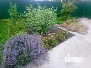 Дом 40м², 1-этажный, участок 6 сот.