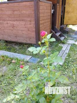 Дом 15м², 1-этажный, участок 5 сот.