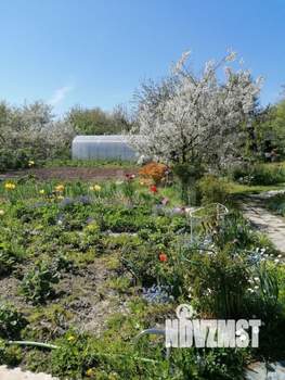 Дача 35м², 1-этажный, участок 6 сот.