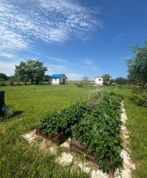 Дом 33м², 1-этажный, участок 12 сот.