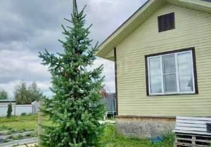 Дом 70м², 1-этажный, участок 8 сот.