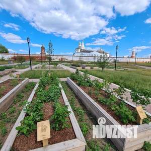 Дом 36м², 2-этажный, участок 8 сот.