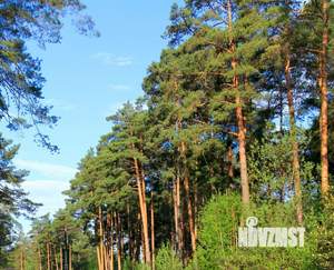 Дом 135м², 2-этажный, участок 9 сот.