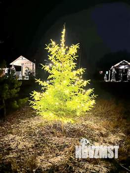 Дом 36м&sup2;, 2-этажный, посуточно, 