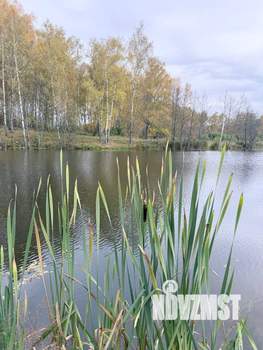 Дом 93м², 1-этажный, посуточно, 