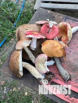 Дом 220м², 1-этажный, посуточно, 