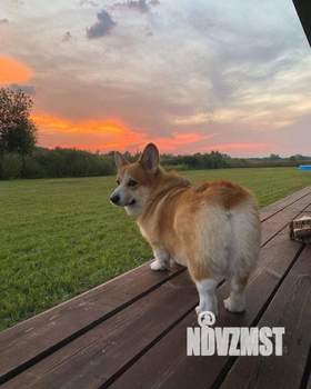 Дом 50м&sup2;, 1-этажный, посуточно, 