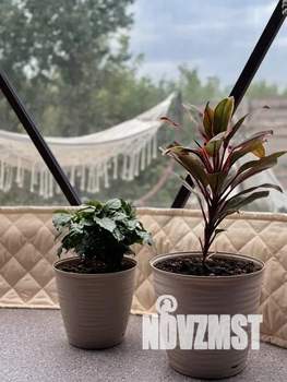 Дом 28м², 1-этажный, посуточно, 