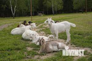 Дом 36м&sup2;, 1-этажный, посуточно, 