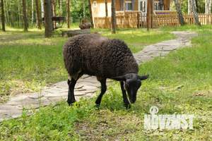 Дом 36м&sup2;, 1-этажный, посуточно, 