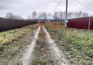 Дом 50м&sup2;, 1-этажный, участок 12 сот.  