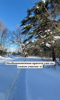 Дом 70м&sup2;, 1-этажный, участок 11 сот.  