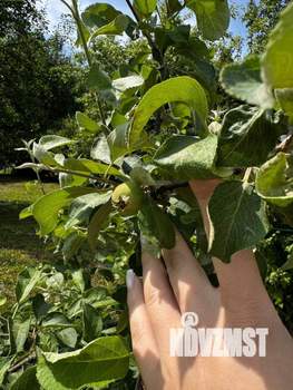 Дом 72м&sup2;, 2-этажный, участок 12 сот.  