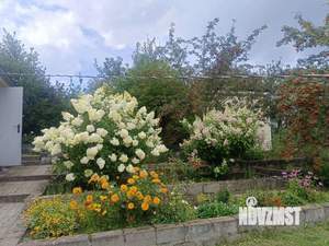 Дом 50м², 1-этажный, участок 12 сот.  