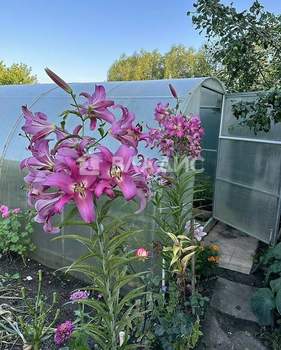 Дом 96м&sup2;, 1-этажный, участок 6 сот.  