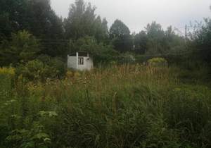 Дом 55м², 2-этажный, участок 9 сот.  