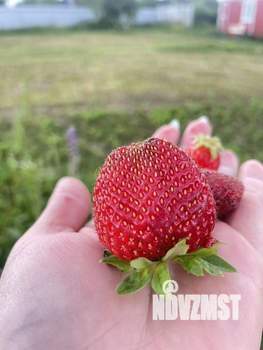 Дом 35м&sup2;, 1-этажный, участок 12 сот.  