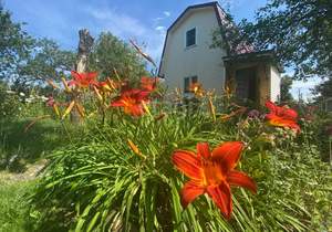 Дом 40м², 2-этажный, участок 9 сот.  