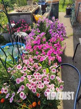 Дом 75м&sup2;, 2-этажный, участок 6 сот.  