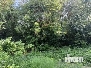 Дом 90м&sup2;, 1-этажный, участок 16 сот.  