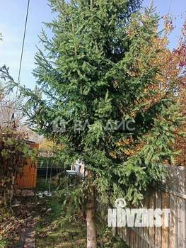 Дом 45м&sup2;, 2-этажный, участок 8 сот.  