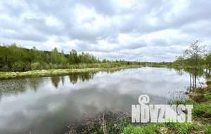 Дом 54м², 1-этажный, участок 12 сот.  