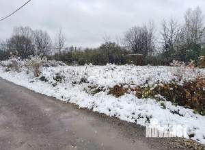 Дом 10м&sup2;, 1-этажный, участок 8 сот.  