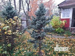 Дом 35м&sup2;, 1-этажный, участок 16 сот.  