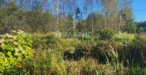 Дом 50м², 2-этажный, участок 8 сот.  