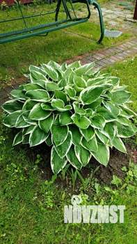 Дом 93м², 2-этажный, участок 10 сот.  