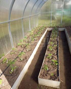 Дом 38м², 2-этажный, участок 8 сот.  