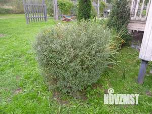 Дом 86м², 2-этажный, участок 12 сот.  