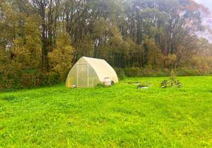 Дом 50м&sup2;, 1-этажный, участок 19 сот.  