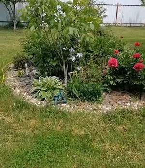 Дом 110м&sup2;, 2-этажный, участок 14 сот.  