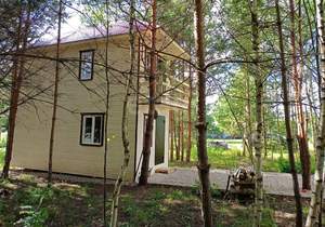 Дом 42м&sup2;, 2-этажный, участок 12 сот.  