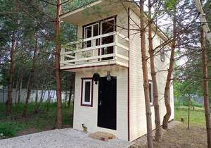 Дом 42м&sup2;, 2-этажный, участок 12 сот.  