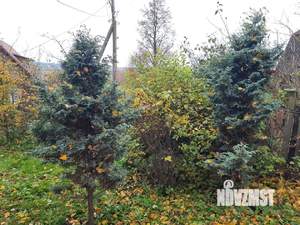 Дом 35м&sup2;, 1-этажный, участок 16 сот.  