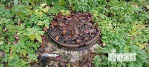 Дом 45м², 1-этажный, участок 21 сот.  