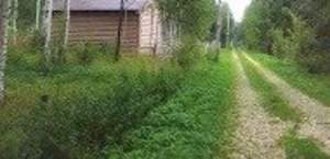 Дача 54м², 1-этажный, участок 10 сот.  