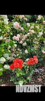 Дом 12м², 1-этажный, участок 10 сот.  